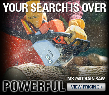 MS 250 Chain Saw